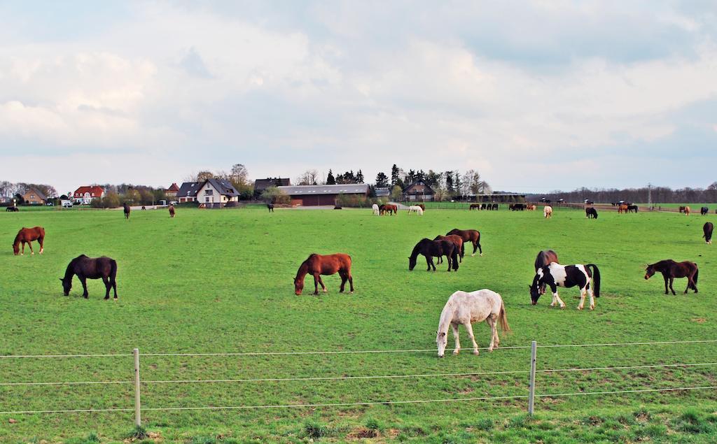 Ferienwohnung Bergblick Xanten Exterior photo